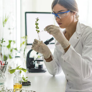 studia Biologia dla nauczycieli