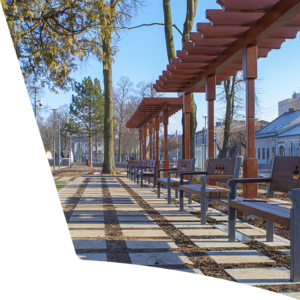 studia Bełchatów